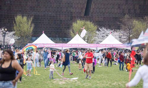 Annual Blossom Kite Festival thumbnail