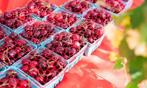 East Boston Farmers Market 2026 thumbnail