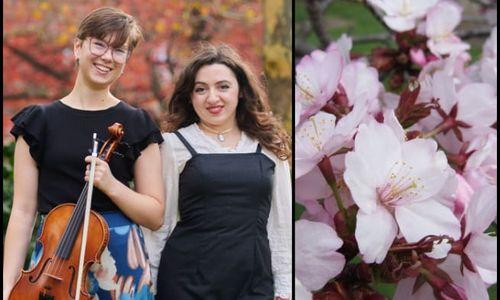 Cherry Blossoms in Bloom: Music Inspired by Nature thumbnail