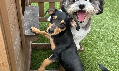 Park-9 3-Year Carnival Anniversary Party thumbnail