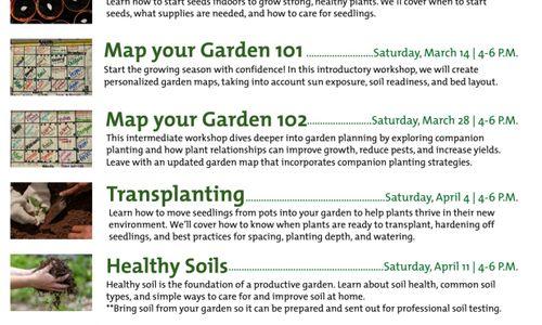 Transplanting Seedlings Workshop thumbnail