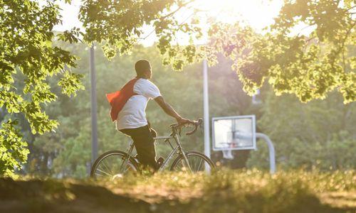 Bike and Bird thumbnail