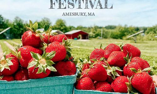 Strawberry Festival at Cider Hill Farm (June 13-14 & 20-21) thumbnail