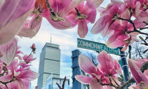 86 Things to Do in Boston for $10 or Less: April 2026 thumbnail