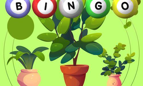 Plant Bingo @ Castle Island South Boston thumbnail