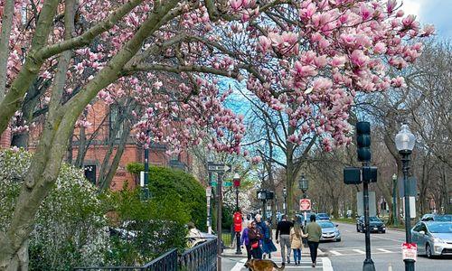 84 things to do in Boston this weekend thumbnail