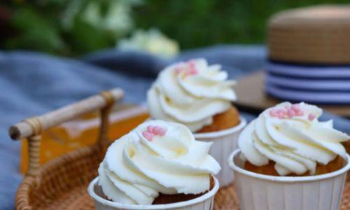Cupcake Picnic thumbnail