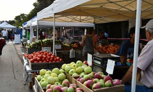 22nd Annual Union Square Farmers Market thumbnail