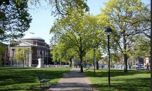 let's go for a stroll thumbnail