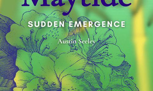 Maytide: Suden Emergence Opening Reception thumbnail