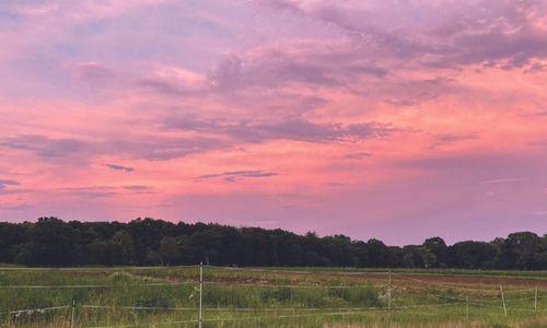Thursday Summer Sunsets at Powisset Farm thumbnail