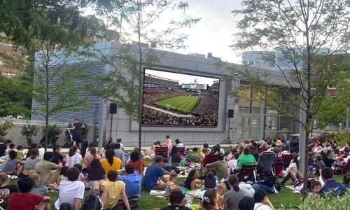 Free World Cup 2026 Watch Parties in Cambridge, MA: Summer of Soccer United thumbnail