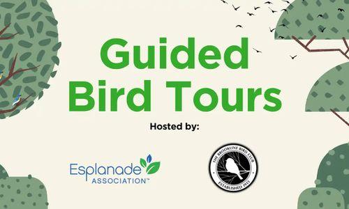 Guided Bird Tour on the Esplanade thumbnail