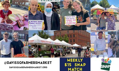Davis Square Farmers Market thumbnail