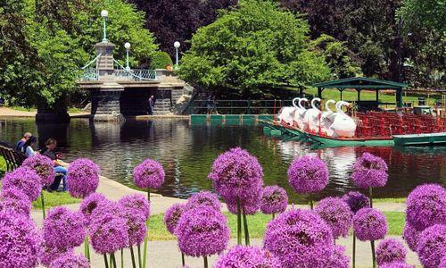 85 things to do in Boston this weekend thumbnail
