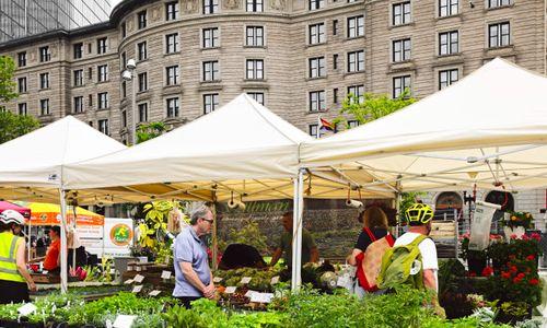 Market to Table at OAK thumbnail