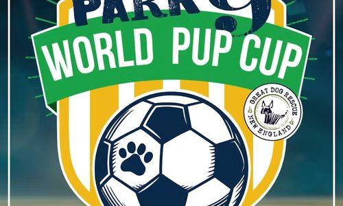 Park-9 World Pup Cup thumbnail
