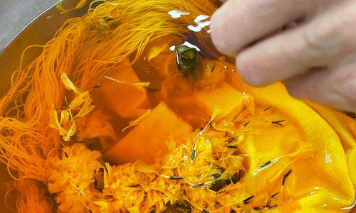 Plant-Based Fabric Dyeing: A Drop-In Event thumbnail