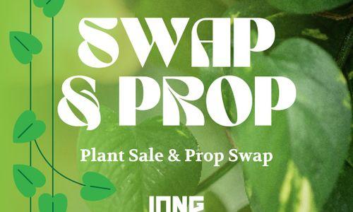 Swap & Prop // Plant Swap Meet and Tropical Houseplant Sale thumbnail