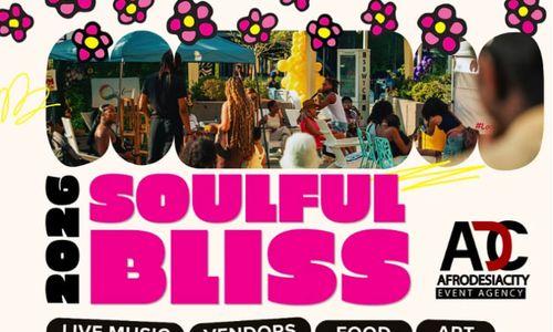 Soulful Bliss: Arts and Music Festival thumbnail