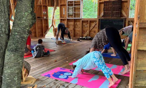 Backyard and Beyond: Treehouse Yoga thumbnail