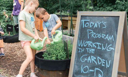 Backyard and Beyond: Working in the Garden thumbnail