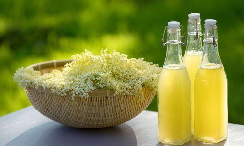 Botanical Beverages: Shrubs and Herbal Teas thumbnail