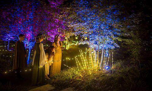 Fairies Aglow at New England Botanic Garden thumbnail