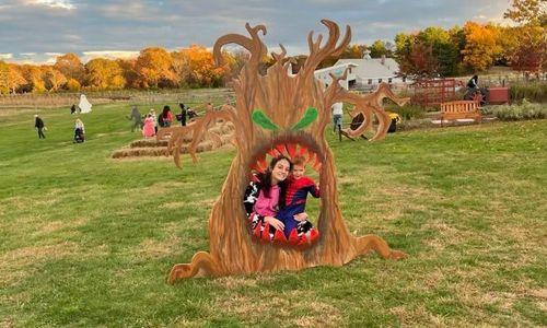 Boo in the Barnyard at Powisset Farm thumbnail