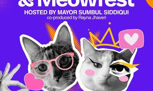 Cambridge 2026 Cat Tour & Meowfest thumbnail