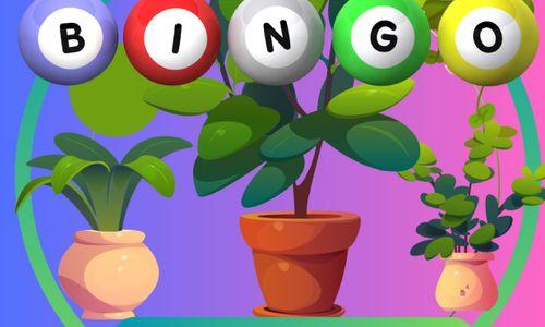 Plant Bingo @ Break Rock thumbnail