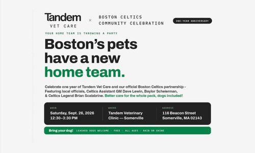 Tandem Vet - 1 Year Anniversary - Celtics Partnership Launch thumbnail