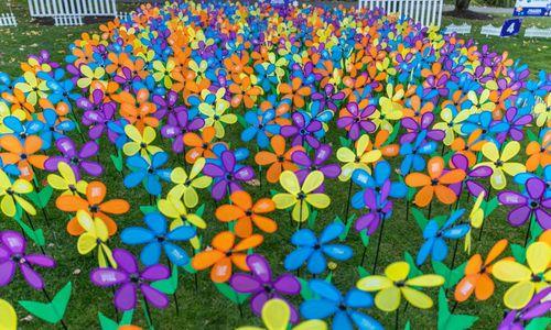 Walk to End Alzheimer's - Greater Boston thumbnail