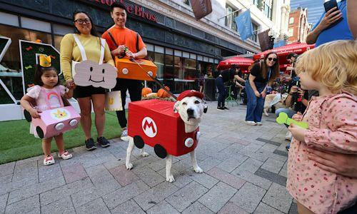 Doggone Halloween thumbnail