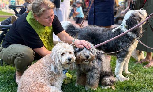 Blessing of the Animals thumbnail
