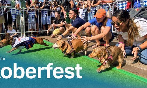 FREE Oktoberfest at The Wharf thumbnail