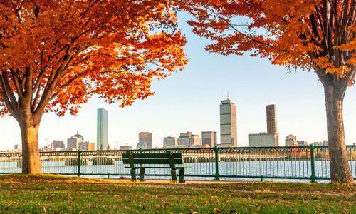 85 things to do in Boston this weekend thumbnail
