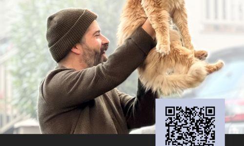 2026 Somerville Cat Tour x Tandem Vet thumbnail