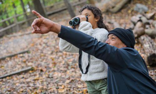 Boston Birding with Family at the Boston Nature Center thumbnail