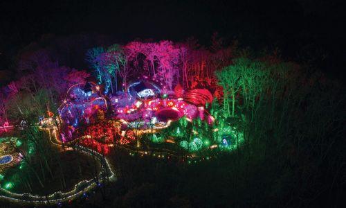 Night Lights: Fantastical Forest at New England Botanic Garden thumbnail