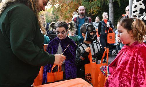 Boo at the Zoo! thumbnail