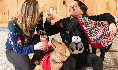 Dog-Friendly Ugly Sweater Party thumbnail