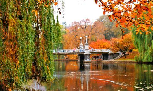 85 things to do in Boston this weekend thumbnail