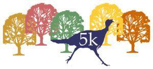 2026 Franklin Park Turkey Trot thumbnail