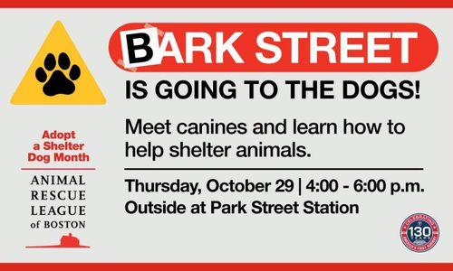 "Bark Street" MBTA Station for Adopt a Shelter Dog Month thumbnail