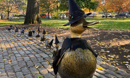 89 things to do in Boston this weekend thumbnail